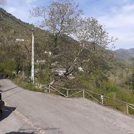 Aparatamento Rural El Oso 3 Pola de Somiedo Eksteriør billede