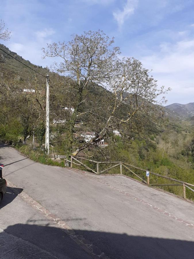 Aparatamento Rural El Oso 3 Pola de Somiedo Eksteriør billede